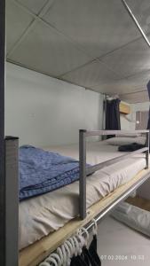 Un ou plusieurs lits superposés dans un hébergement de l'établissement Kim Hostel