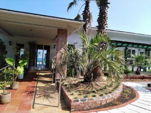 a house with palm trees in front of it at Pension Le Passage - Vacation STAY 11300v in Tottori