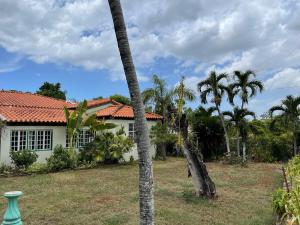 una palmera frente a una casa en Widcombe 8, en Kingston