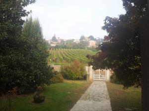 Zahrada ubytování B&B Vigneto Pardom