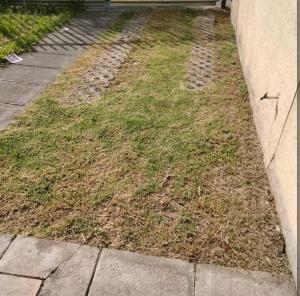 a patch of grass next to a sidewalk next to a building at Casa sola dos niveles in Chalco de Díaz Covarrubias