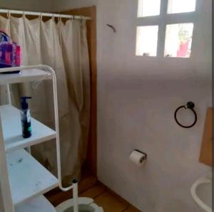 y baño con cortina de ducha blanca y aseo. en Casa sola dos niveles, en Chalco de Díaz Covarrubias