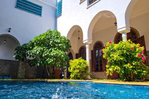 een zwembad in een gebouw met bomen en bloemen bij Riad Tazi Casablanca in Casablanca