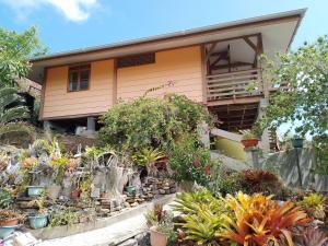 a house with a bunch of plants in front of it at Résidence Tamaumia - Bungalow in Hakamui