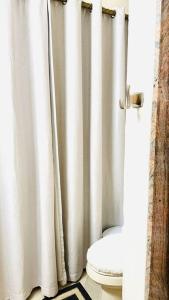 a bathroom with a toilet and a shower curtain at Beautiful Spanish-Styled Home in Fresno