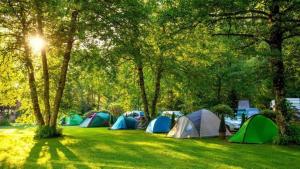 Curug 1的住宿－ALAM RAYA CAMP，一群在树丛中的帐篷