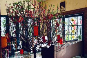Fotografie z fotogalerie ubytování JE T'AIME VILLA - Khu nghỉ dưỡng nhà vườn nằm giữa thiên nhiên bao la hoa cỏ v destinaci Bao Loc