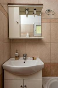 un bagno con lavandino e specchio di MAKRIS HOUSE- APARTMENT PANORAMA a Ayia Evfimia