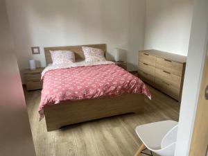 een slaapkamer met een bed met een roze dekbed en kussens bij Charmant T2 mitoyen neuf in Mios