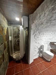 ein Bad mit einer Dusche und einem WC in der Unterkunft Encantadora Casa cueva en Valsequillo in Las Palmas de Gran Canaria