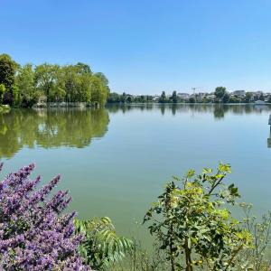 a view of a lake with trees and purple flowers at Le Carlier d'Enghien - 2 chambres - Près du Lac in Enghien-les-Bains