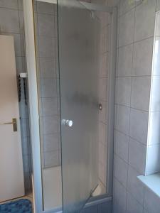 a shower with a glass door in a bathroom at Ferienwohnung Dau II in Nübbel
