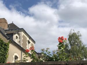 Κήπος έξω από το Maison Bout du monde château Angers hyper centre