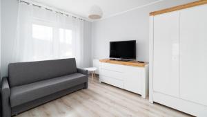een woonkamer met een bank en een tv bij Apartamenty Sun & Snow Waryńskiego in Szklarska Poręba