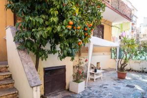 un naranjo colgando de un lado de un edificio en La Casa di Betty en Lido di Ostia