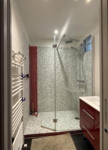 un bagno con doccia con porta in vetro di Appartement familiale Paris - Mairie des Lilas a Les Lilas