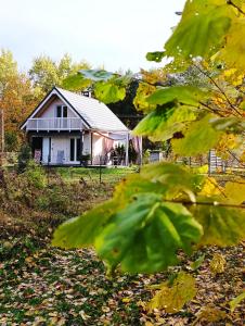 uma pequena casa no meio de um campo em Domek w Poleskim Parku em Urszulin
