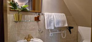 bagno con lavandino, servizi igienici e specchio di Slėnis Trakuose a Trakai
