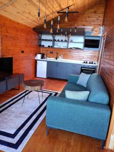 ein Wohnzimmer mit einem blauen Sofa und einer Küche in der Unterkunft Hills Wooden House in Cayeli