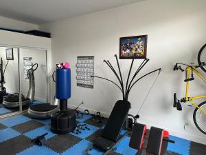Fitness centrum a/nebo fitness zařízení v ubytování The Place