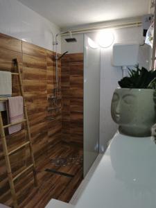 a bathroom with a shower with a toilet and a plant at Holiday home Sovica in Vrbovsko +15 photos