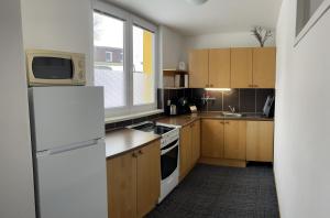 Kuchyň nebo kuchyňský kout v ubytování Apartman na Kvilde - Sumava
