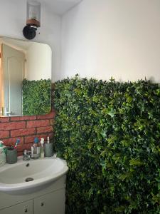 a bathroom with a green plant next to a sink at Casa Iuliana in Valcea