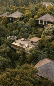 an aerial view of a jungle with houses and trees at Munduk Cabins in Munduk