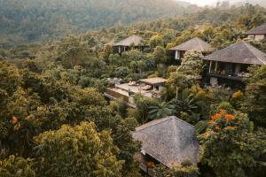 an aerial view of a resort in the jungle at Munduk Cabins in Munduk