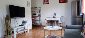 TV a/nebo společenská místnost v ubytování Ubytování Švrčinová