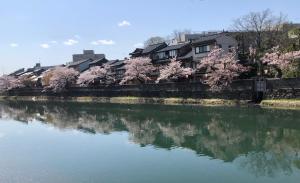 un fiume con case e alberi di kura sullo sfondo di Kanazawa Guesthouse Stella a Kanazawa