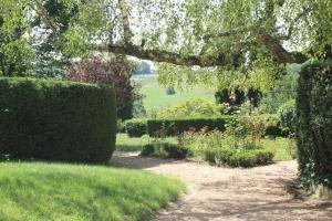 a garden with hedges and a path with flowers at Domaine de Montclair in Pommiers +10 photos
