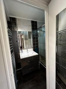 La salle de bains est pourvue d'un lavabo et d'un miroir. dans l'établissement Appart. familial aux portes de Paris, à Montrouge