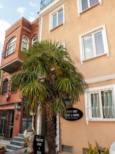 a palm tree in front of a building at Yeşim Suit Otel in Istanbul