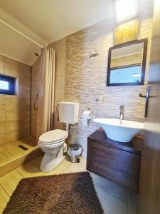 a bathroom with a white toilet and a sink at CABANA FRAM VÂRTOP in Nucet