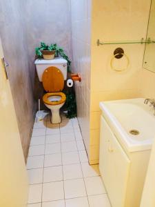 un baño con inodoro y lavabo en Cozy oasis on Derby, en Johannesburgo 8 fotos más