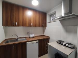 eine kleine Küche mit Holzschränken und einem Waschbecken in der Unterkunft Prenoćište Lana in Novi Banovci
