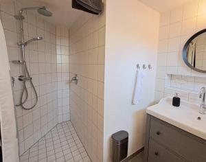 uma casa de banho com um chuveiro e um lavatório. em Souterrain-Apartment in Wehlheiden Kassel em Kassel