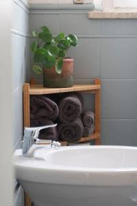 a plant on a shelf above a toilet in a bathroom at Sancisi 3 in Santarcangelo di Romagna