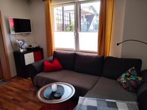 a living room with a couch and a window at Ferienwohnung Am Hausberg in Radebeul in Radebeul