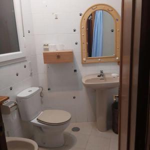 La salle de bains est pourvue de toilettes, d'un lavabo et d'un miroir. dans l'établissement Casa en Pinilla de Buitrago, à Gargantilla del Lozoya y Pinilla de Buitrago