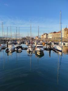 Un montón de barcos están atracados en un puerto en Hotel Boat Cardeli, en Gijón