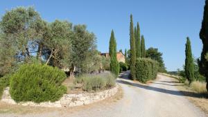 une route avec des arbres et une maison en arrière-plan dans l'établissement La Casetta, à Pievina