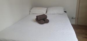 BEL Appartement Neuf Lumineux