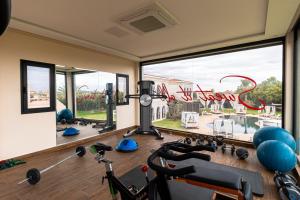 Fitness centrum a/nebo fitness zařízení v ubytování Palais Anthea Boutique Hotel & Spa