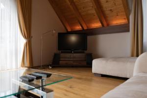 TV o dispositivi per l'intrattenimento presso Suite 1 - Krems an der Donau
