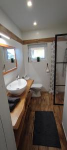 ein Badezimmer mit einem Waschbecken, einem WC und einem Spiegel in der Unterkunft Víkendový dom Hlboká in Dunajská Streda