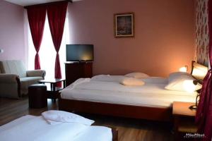 ein Hotelzimmer mit 2 Betten und einem TV in der Unterkunft Anastasija Sobe AS in Vrnjačka Banja