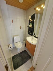 W łazience znajduje się umywalka, toaleta i lustro. w obiekcie Mindfulness Homestay in Espoo w mieście Espoo