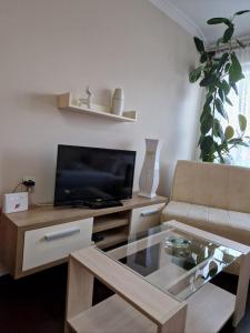 Телевизор и/или развлекательный центр в Apartment Marina +2 фотографии